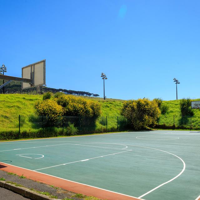Forest Hill University of Cape Town